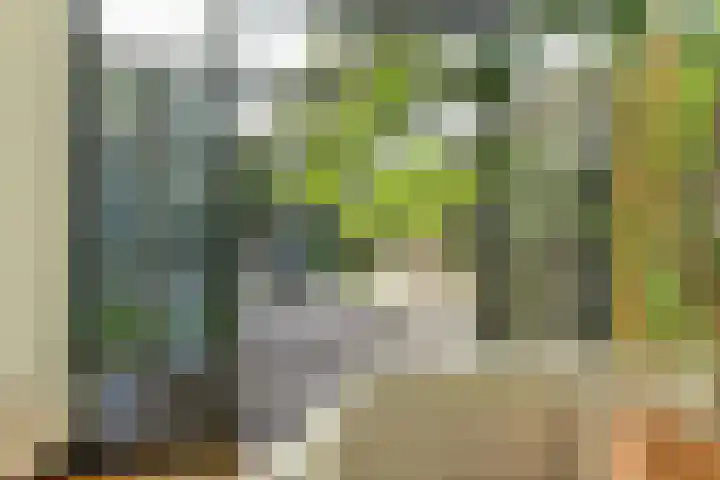 Doelenstraat 15 Hilvarenbeek thumbnail 21