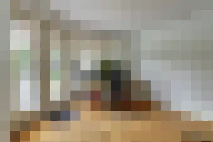 Doelenstraat 15 Hilvarenbeek thumbnail 22