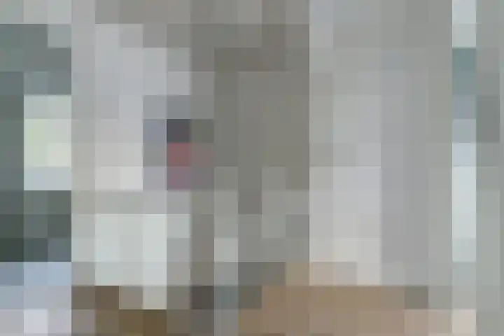 Doelenstraat 15 Hilvarenbeek thumbnail 25