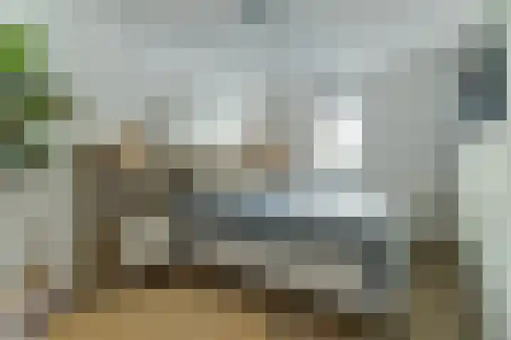 Doelenstraat 15 Hilvarenbeek thumbnail 26
