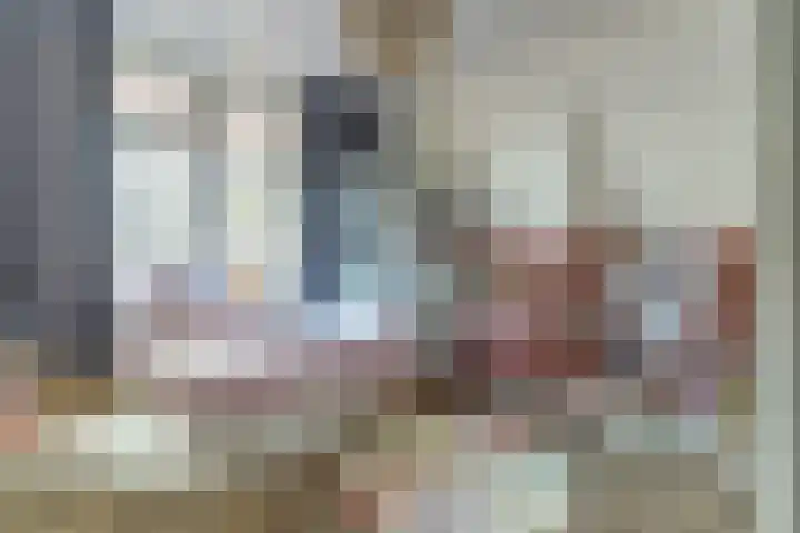 Doelenstraat 15 Hilvarenbeek thumbnail 28