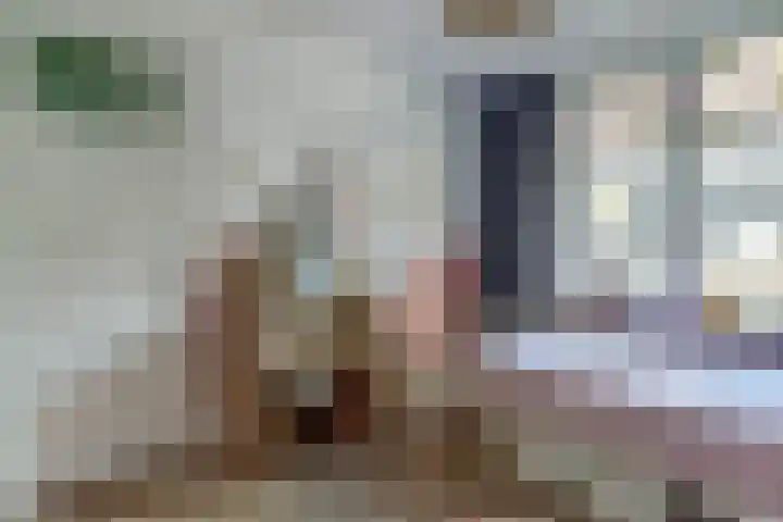 Doelenstraat 15 Hilvarenbeek thumbnail 29