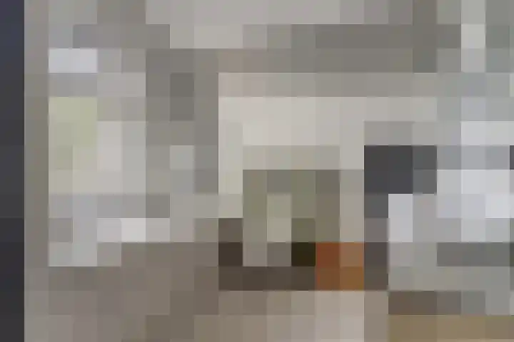 Doelenstraat 15 Hilvarenbeek thumbnail 32