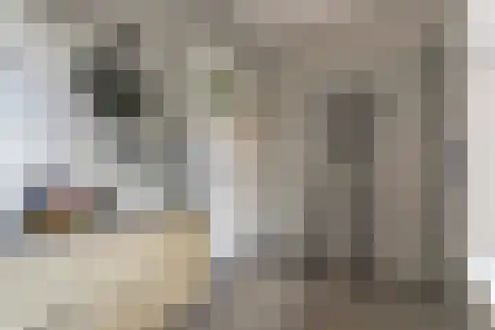 Doelenstraat 15 Hilvarenbeek thumbnail 33