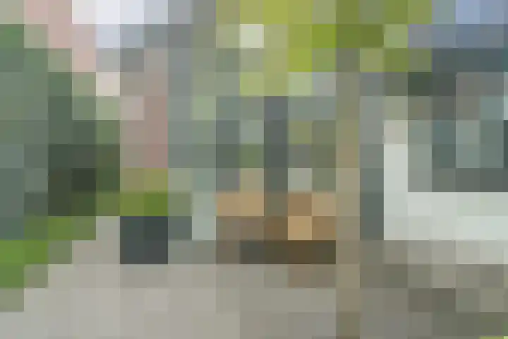 Doelenstraat 15 Hilvarenbeek thumbnail 35