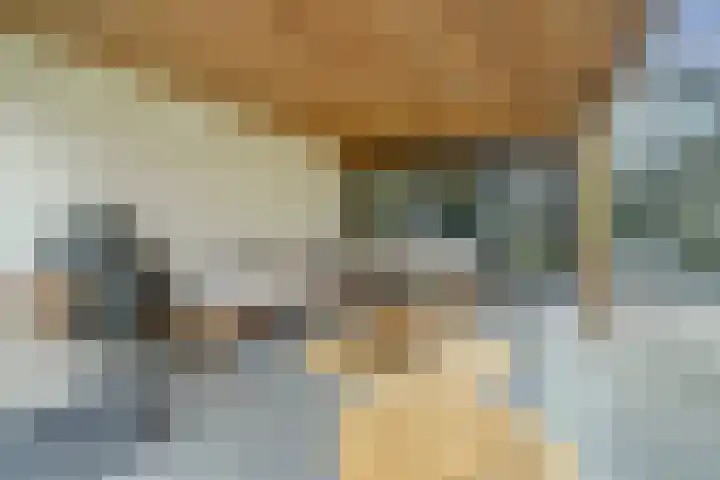 Doelenstraat 15 Hilvarenbeek thumbnail 37