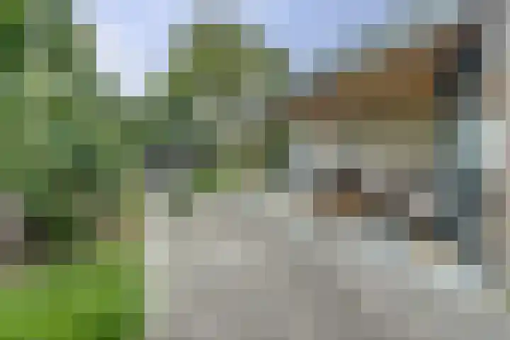 Doelenstraat 15 Hilvarenbeek thumbnail 38