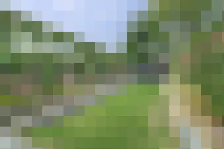 Doelenstraat 15 Hilvarenbeek thumbnail 40