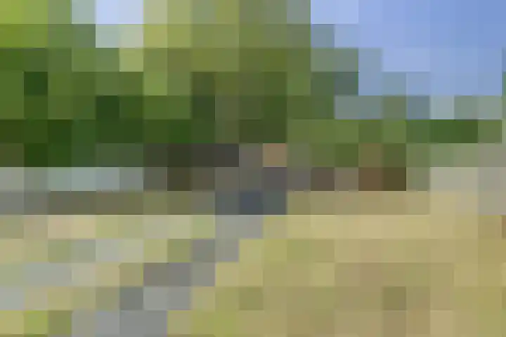 Doelenstraat 15 Hilvarenbeek thumbnail 41