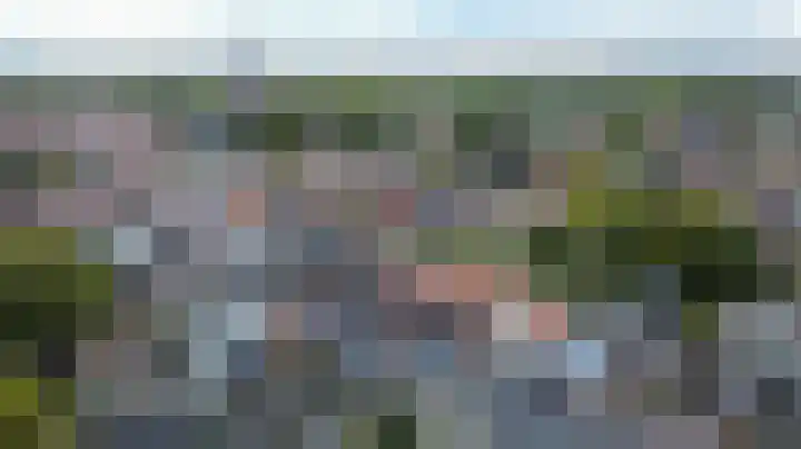 Doelenstraat 15 Hilvarenbeek thumbnail 43