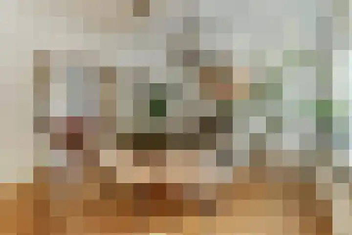 Doelenstraat 15 Hilvarenbeek thumbnail 5