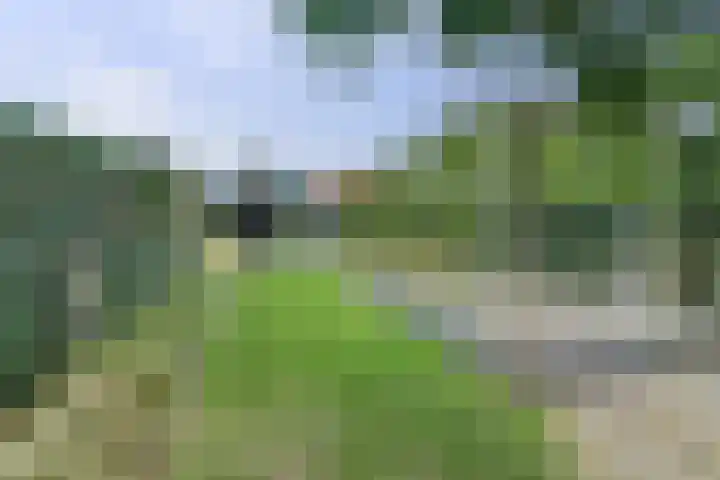 Doelenstraat 15 Hilvarenbeek thumbnail 7