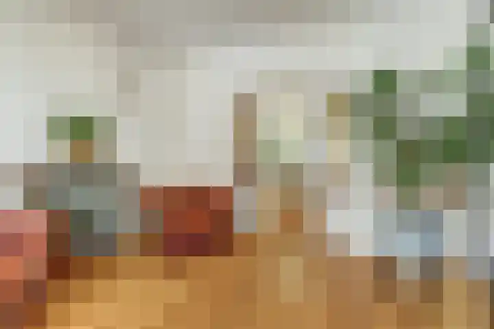 Doelenstraat 15 Hilvarenbeek thumbnail 9