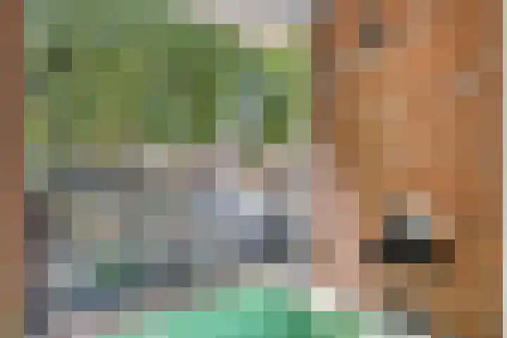 Doelenstraat 15 Tilburg thumbnail 25
