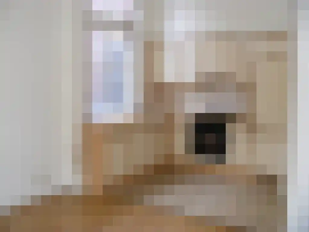 Doelenstraat 17 Almelo thumbnail 5