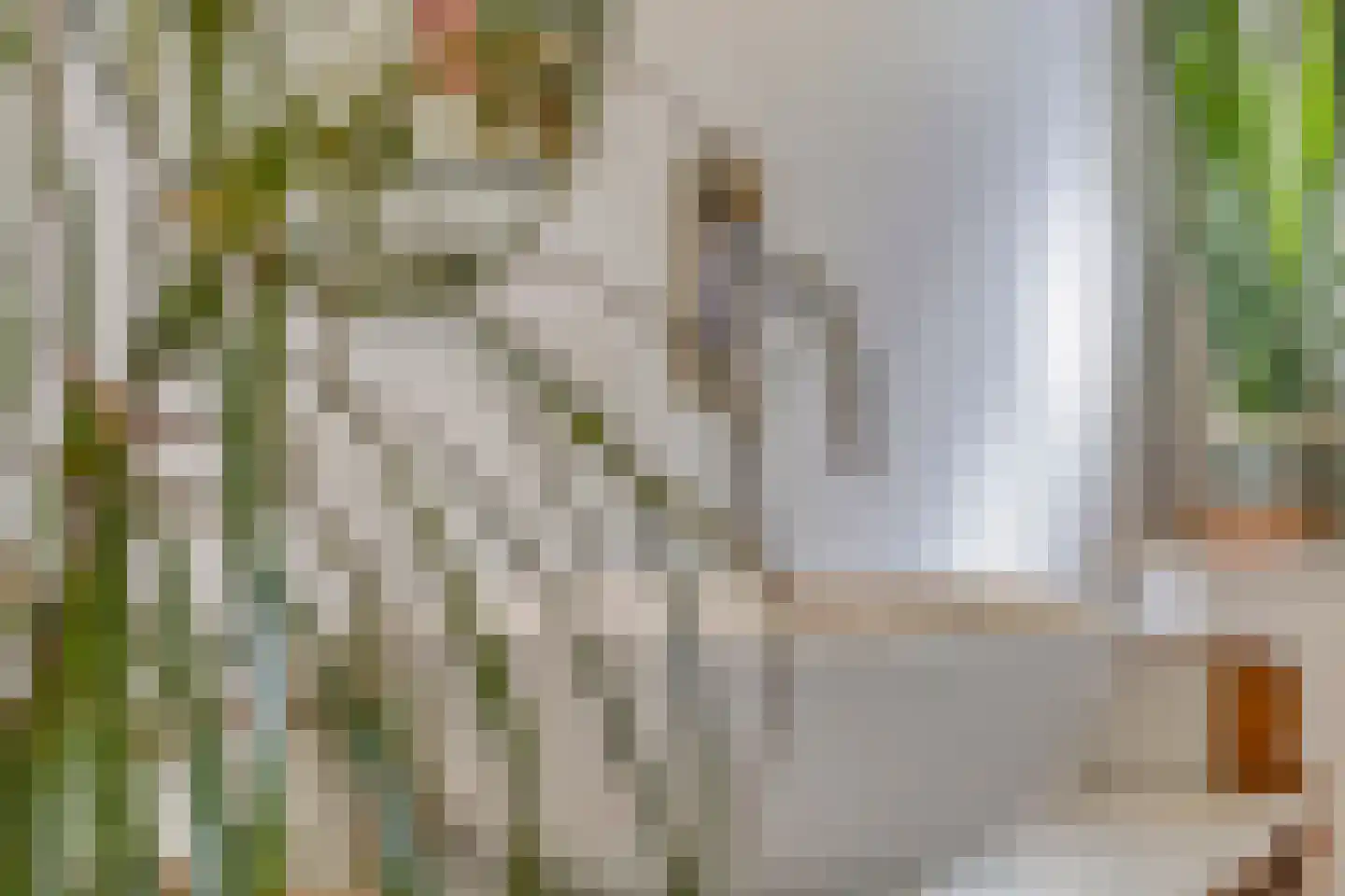 Doelenstraat 17 Eindhoven thumbnail 25