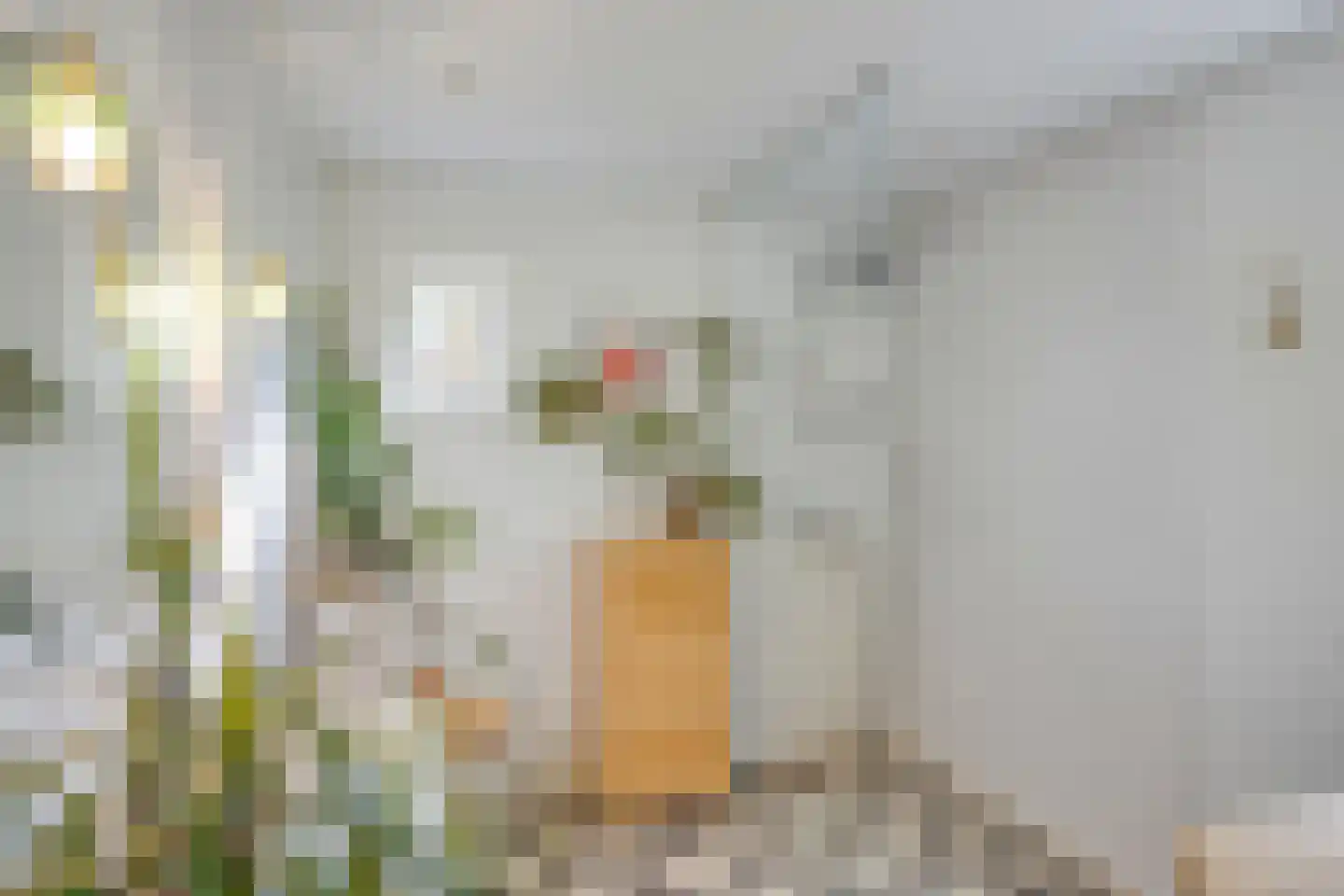 Doelenstraat 17 Eindhoven thumbnail 26