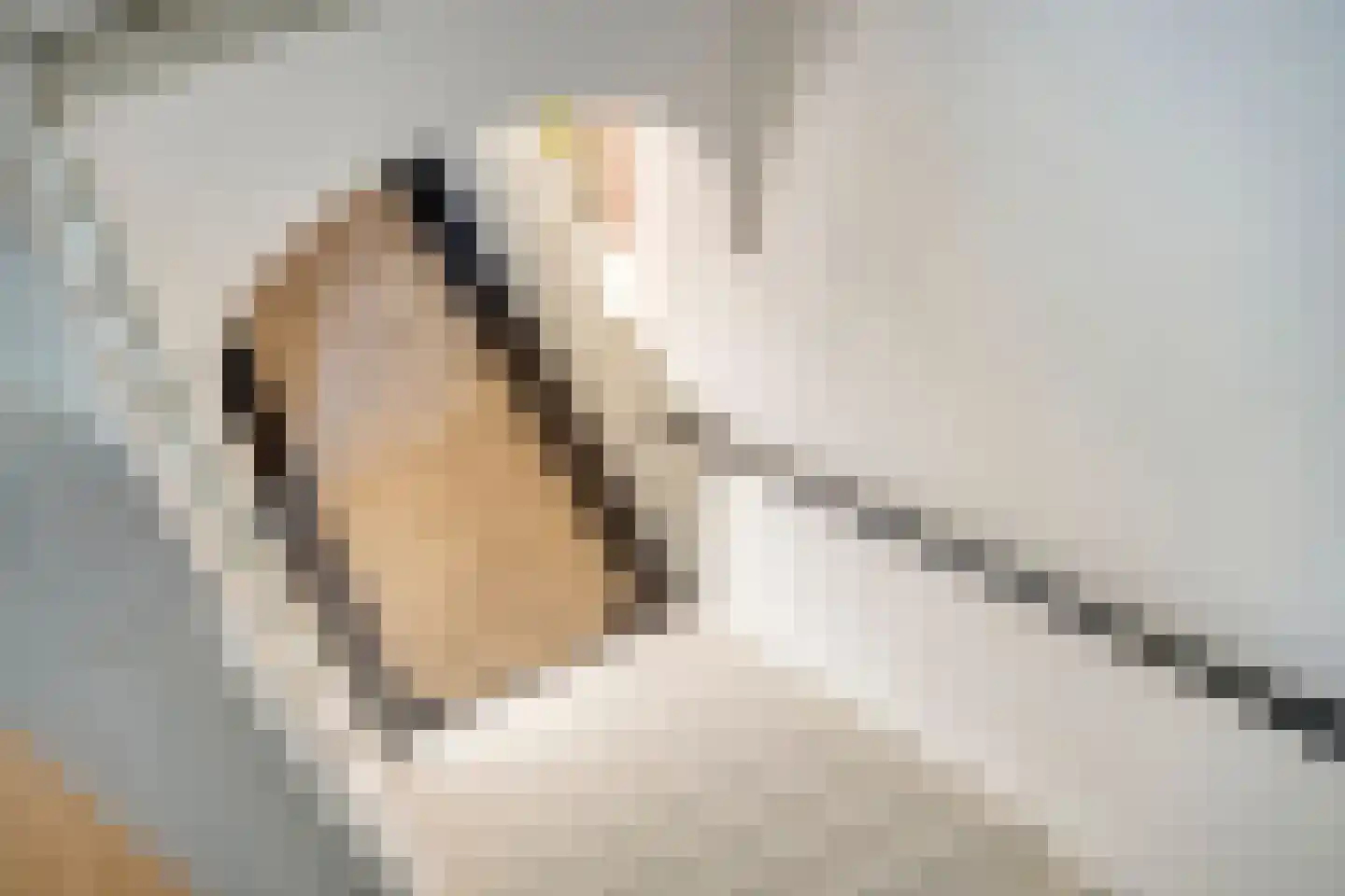 Doelenstraat 17 Eindhoven thumbnail 28