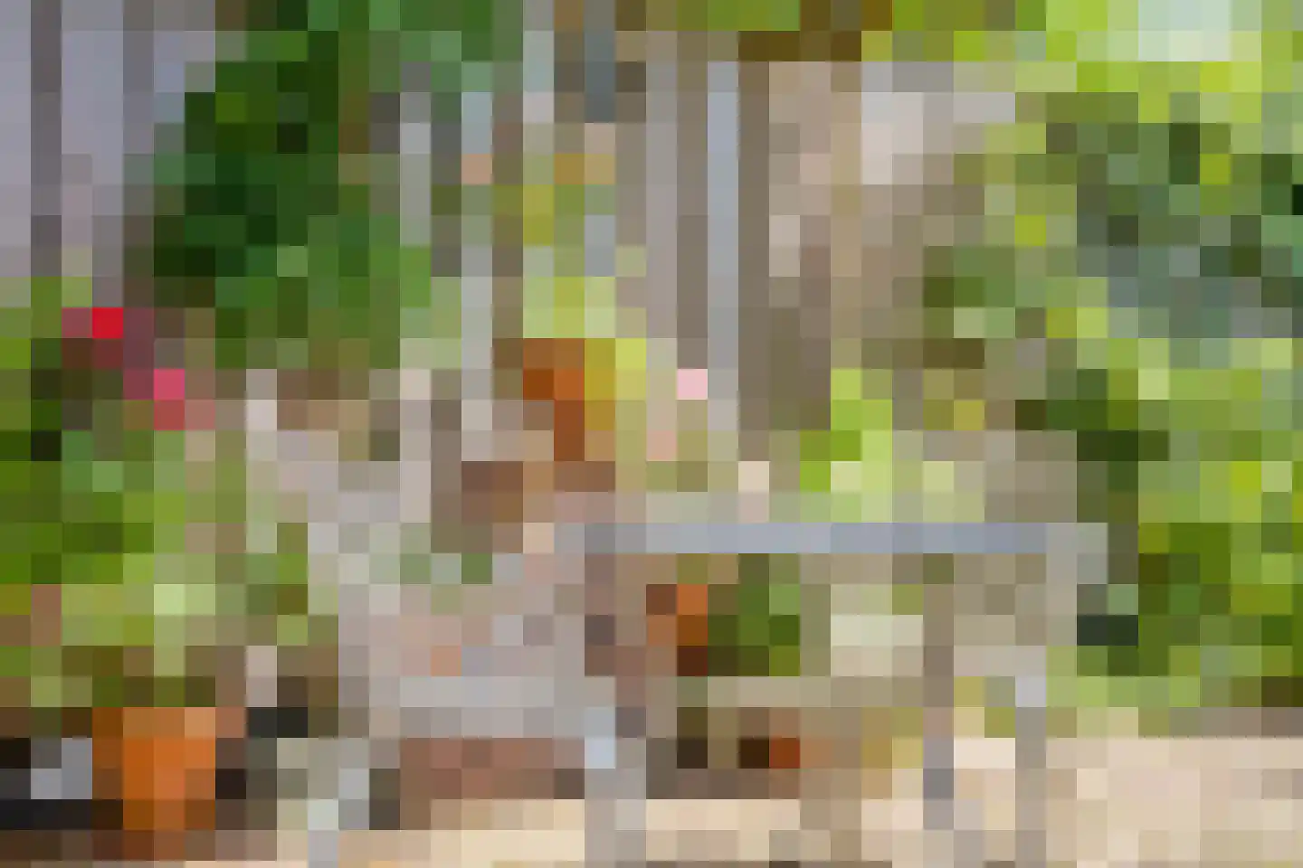 Doelenstraat 17 Eindhoven thumbnail 41