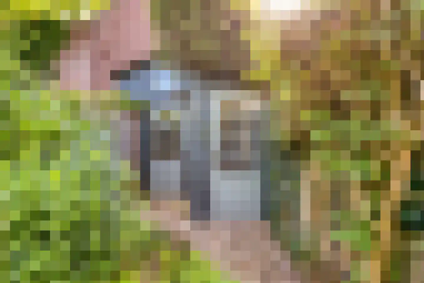 Doelenstraat 17 Eindhoven thumbnail 44