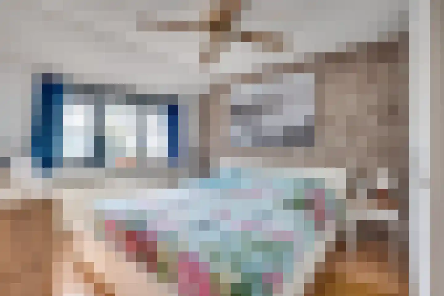Doelenstraat 18 Hilvarenbeek thumbnail 21