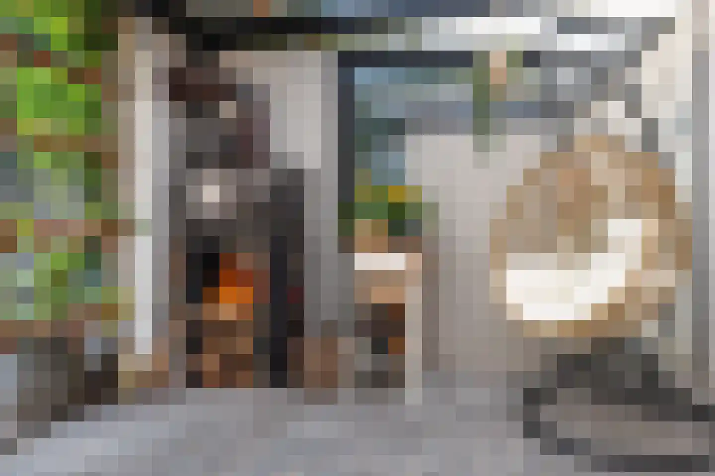 Doelenstraat 18 Hilvarenbeek thumbnail 26
