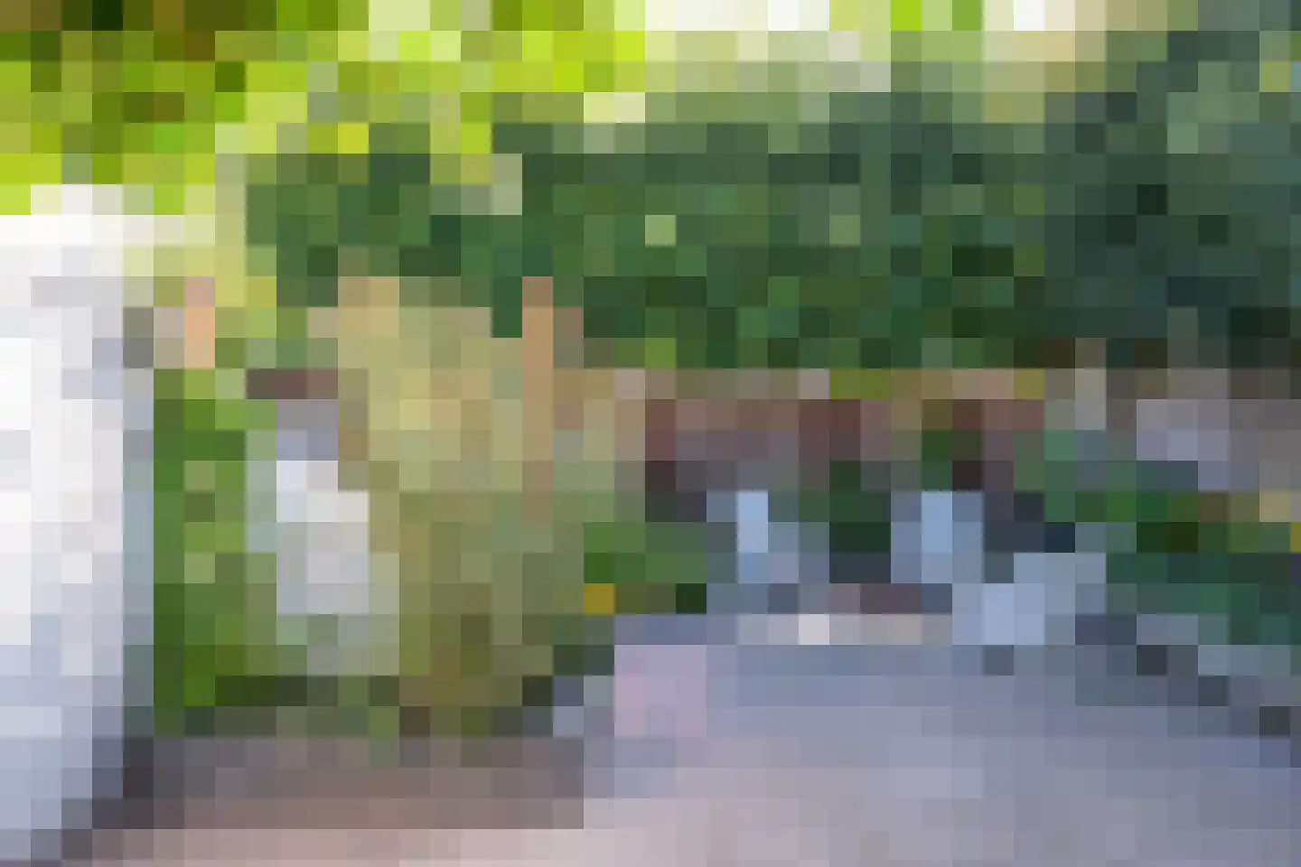 Doelenstraat 18 Hilvarenbeek thumbnail 30