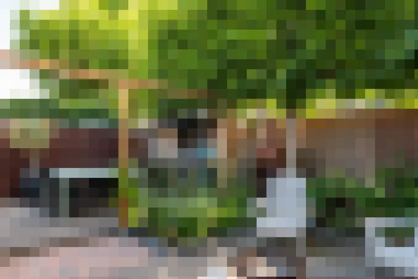 Doelenstraat 18 Hilvarenbeek thumbnail 31