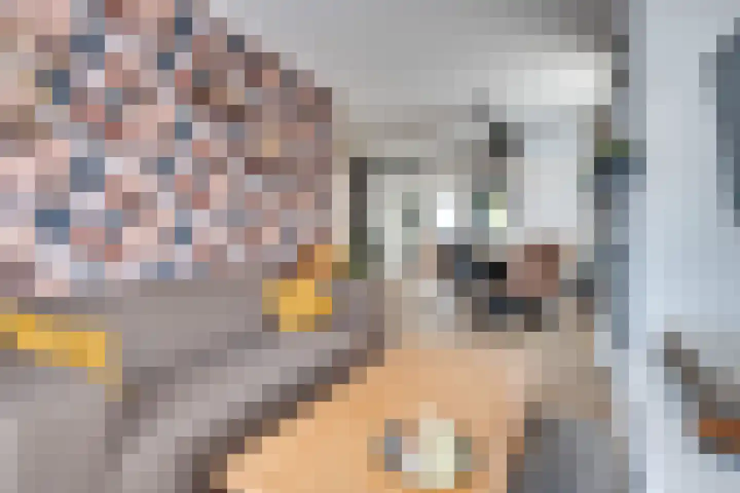 Doelenstraat 18 Hilvarenbeek thumbnail 5