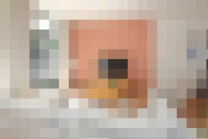 Doelenstraat 21 Almelo thumbnail 11