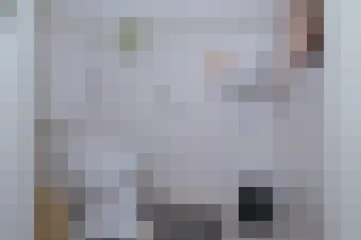 Doelenstraat 21 Almelo thumbnail 14