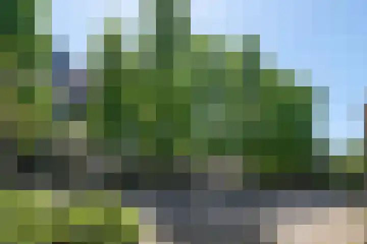 Doelenstraat 21 Almelo thumbnail 39