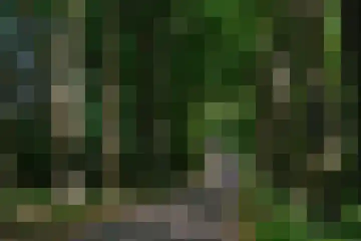 Doelenstraat 21 Almelo thumbnail 40