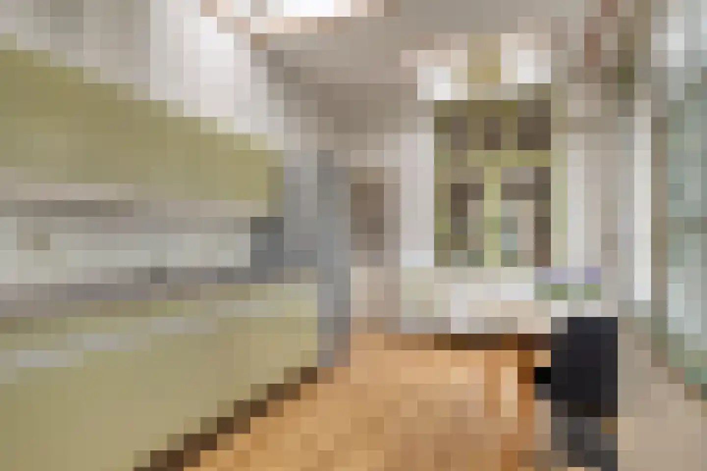 Doelenstraat 22 Alkmaar thumbnail 17