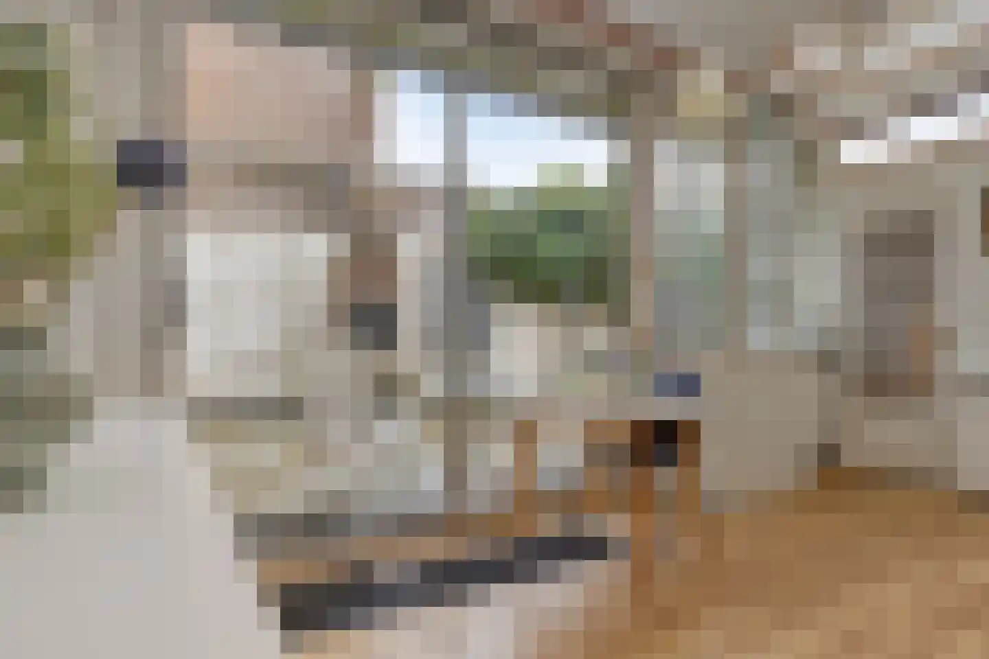 Doelenstraat 22 Alkmaar thumbnail 19