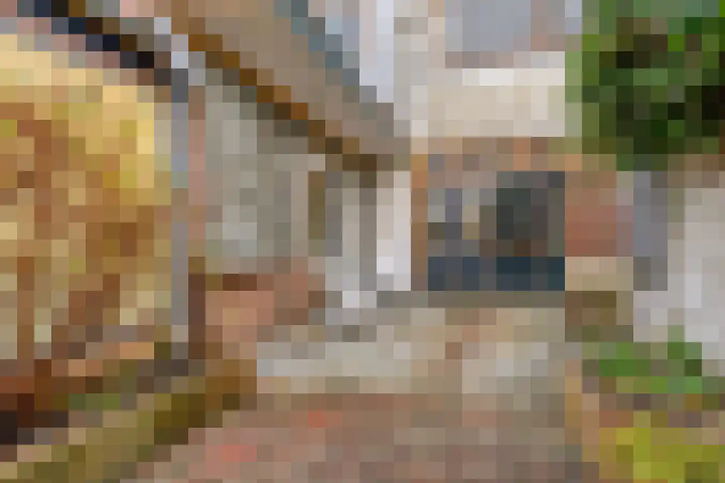 Doelenstraat 22 Alkmaar thumbnail 36
