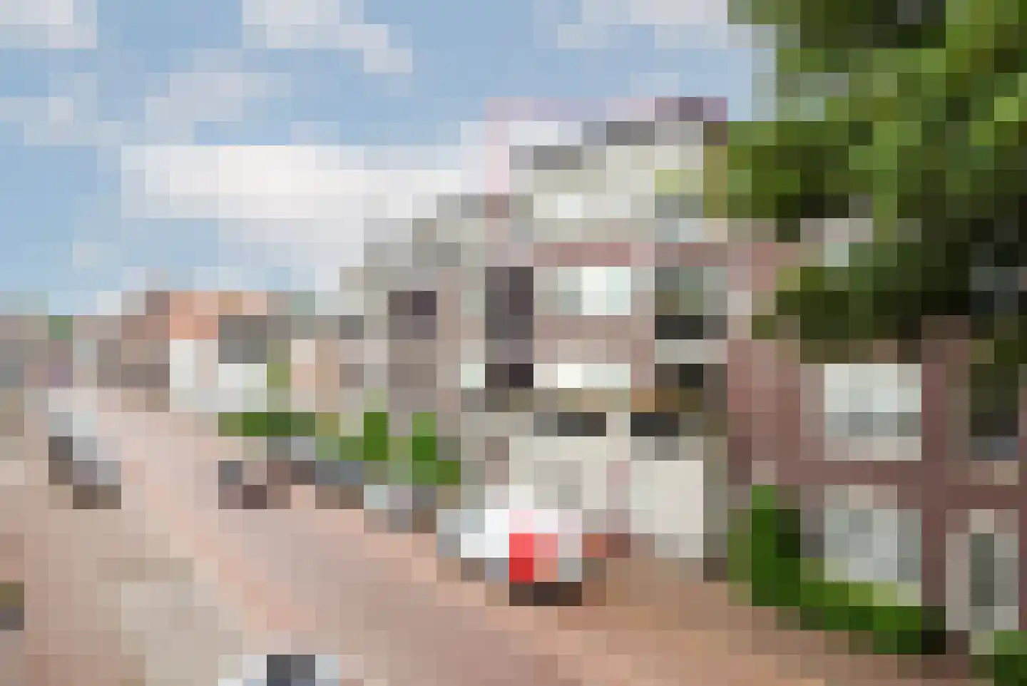 Doelenstraat 25 17 Hilvarenbeek
