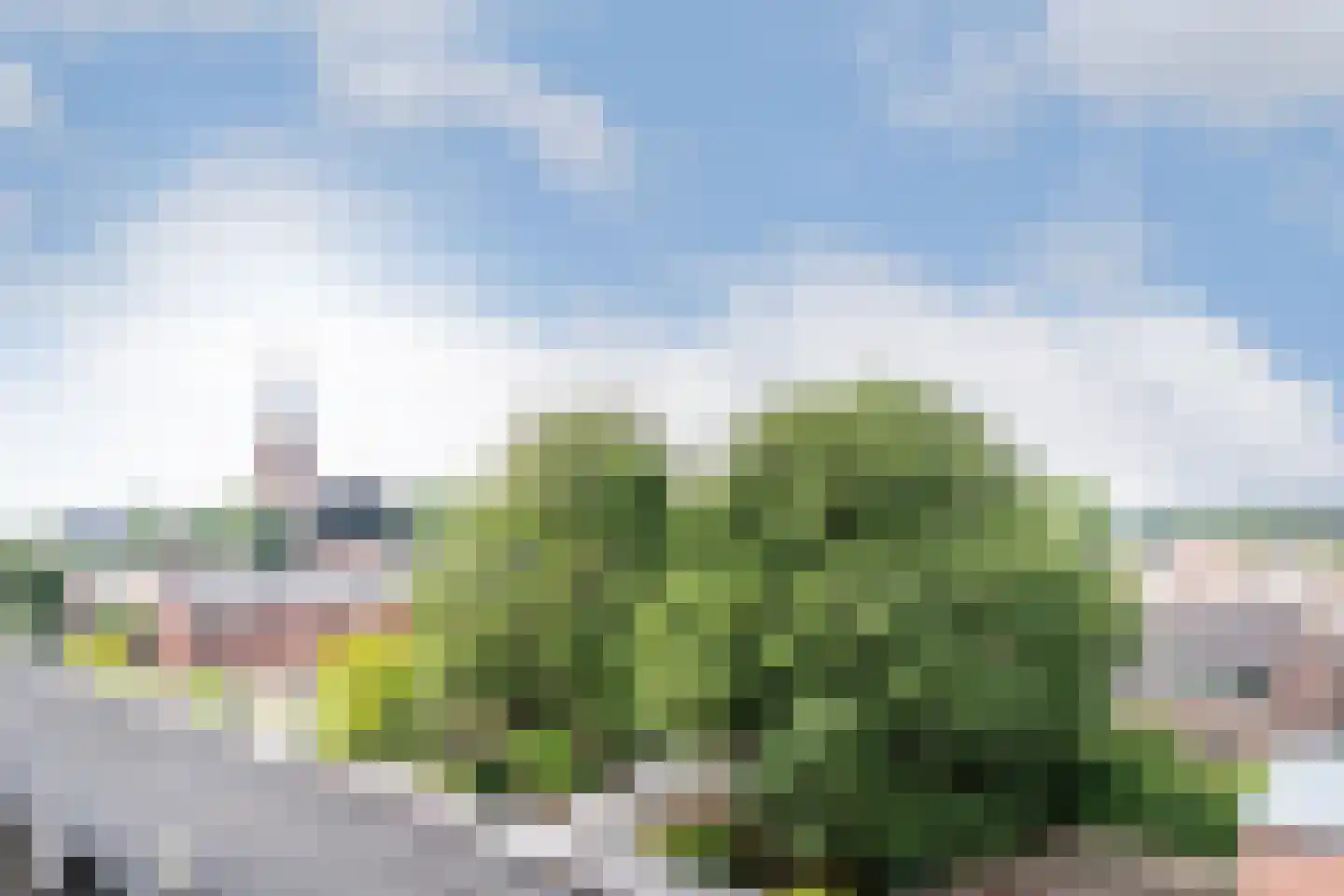 Doelenstraat 25 17 Hilvarenbeek thumbnail 20