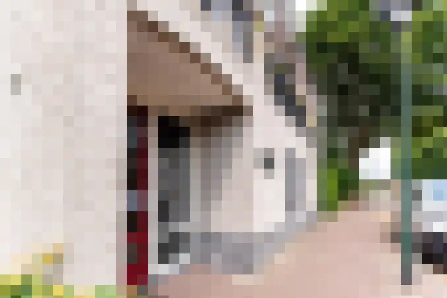 Doelenstraat 25 17 Hilvarenbeek thumbnail 9