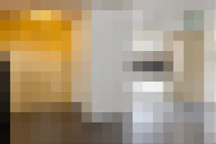 Doelenstraat 27 Tilburg thumbnail 22