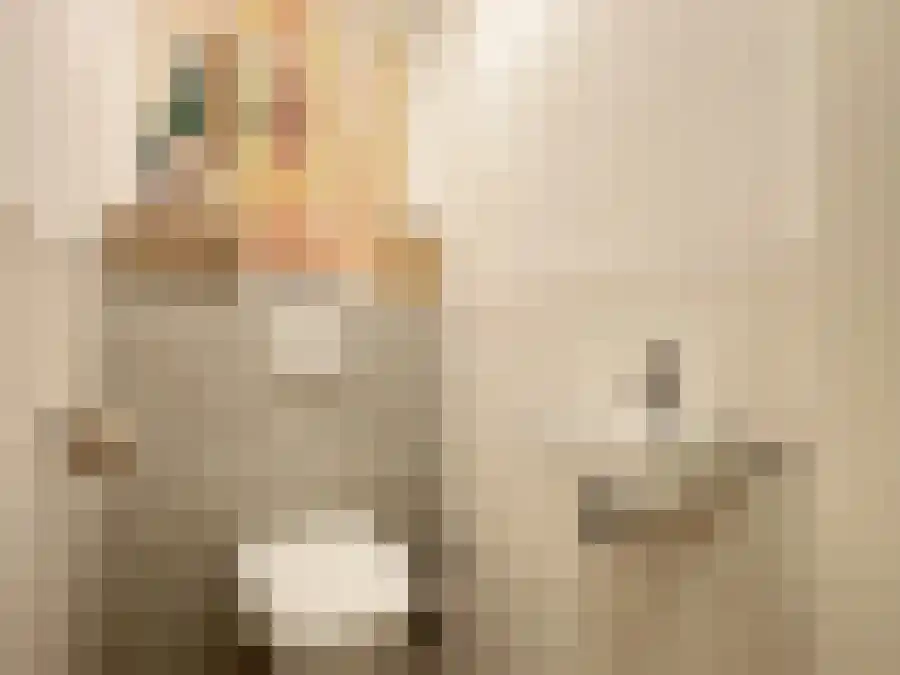 Doelenstraat 28 Ede thumbnail 6