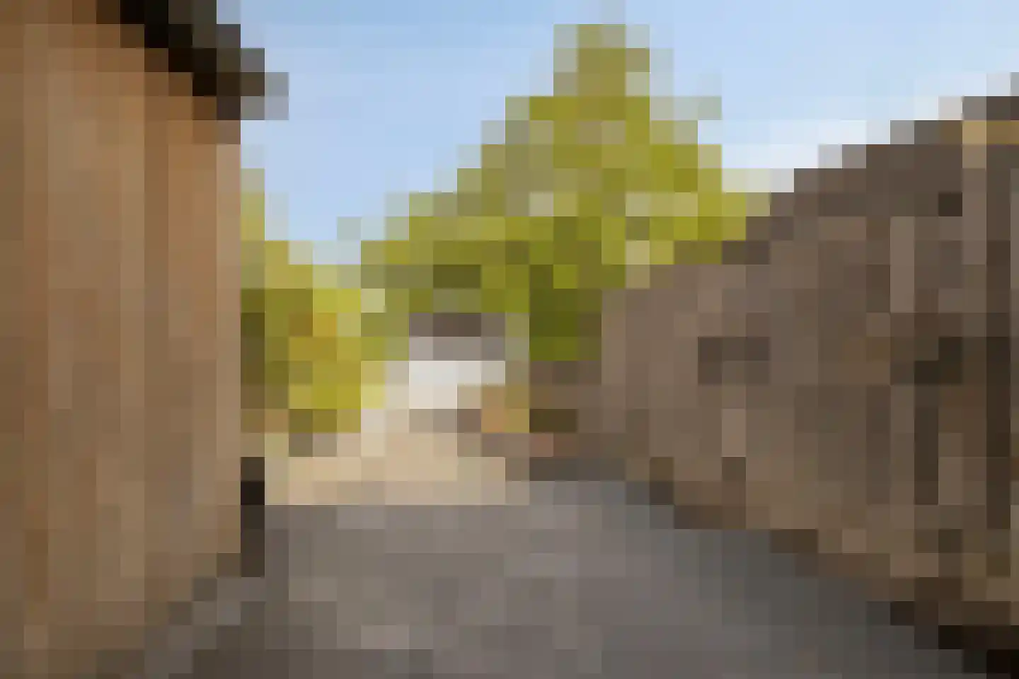 Doelenstraat 29 Harderwijk thumbnail 19