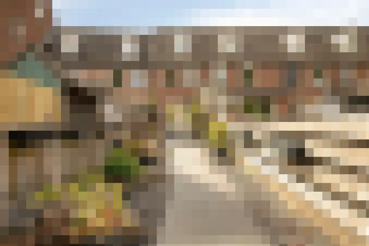 Doelenstraat 29 Harderwijk thumbnail 20