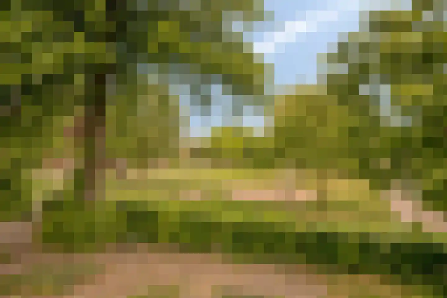 Doelenstraat 29 Harderwijk thumbnail 21