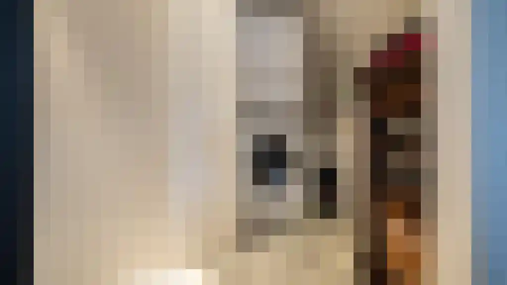 Doelenstraat 30 Almelo thumbnail 39
