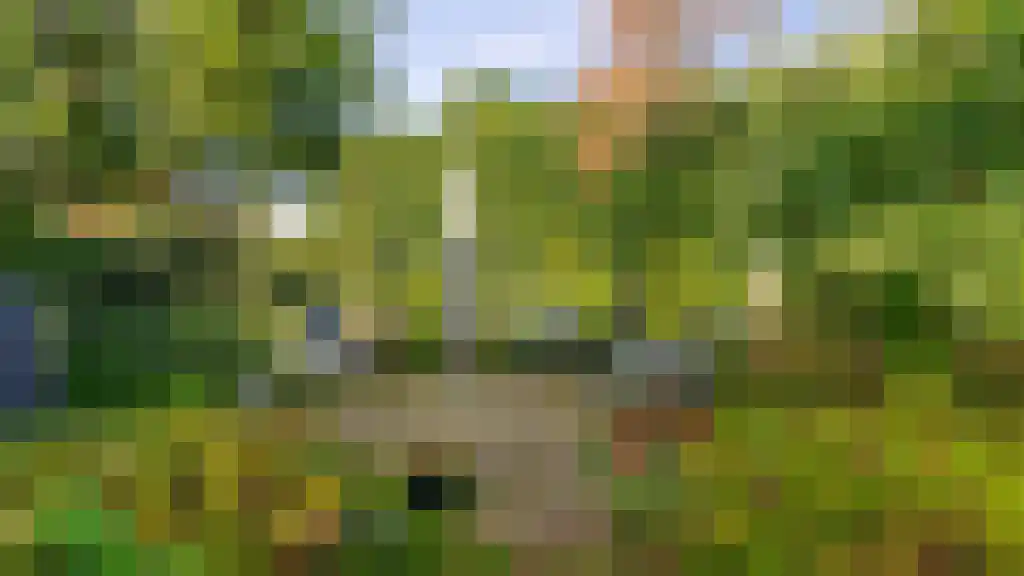 Doelenstraat 30 Almelo thumbnail 43