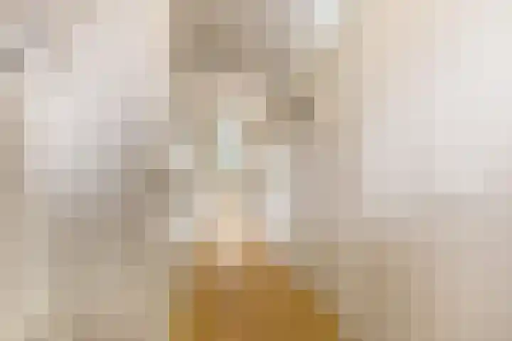 Doelenstraat 31 Ede thumbnail 18