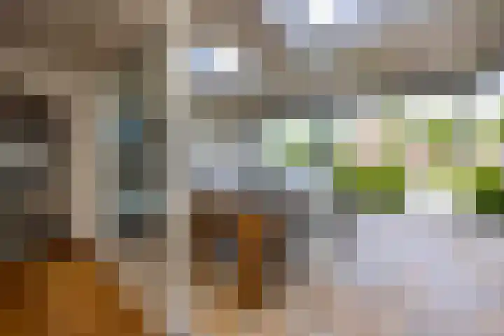 Doelenstraat 33 A Hilvarenbeek thumbnail 12