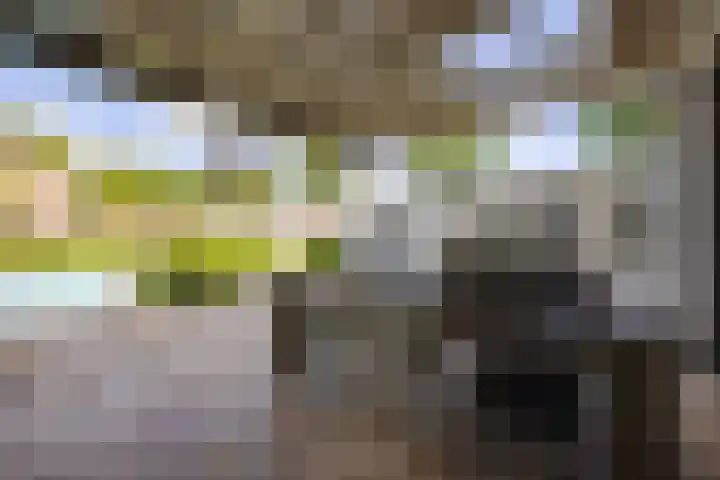 Doelenstraat 33 A Hilvarenbeek thumbnail 31