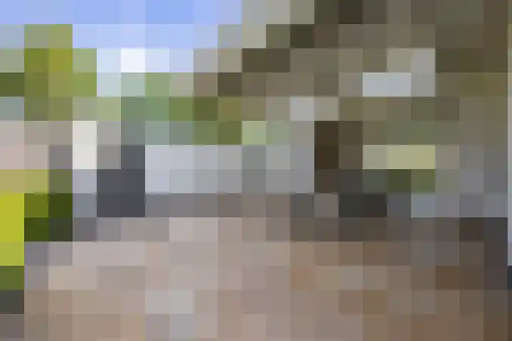 Doelenstraat 33 A Hilvarenbeek thumbnail 32